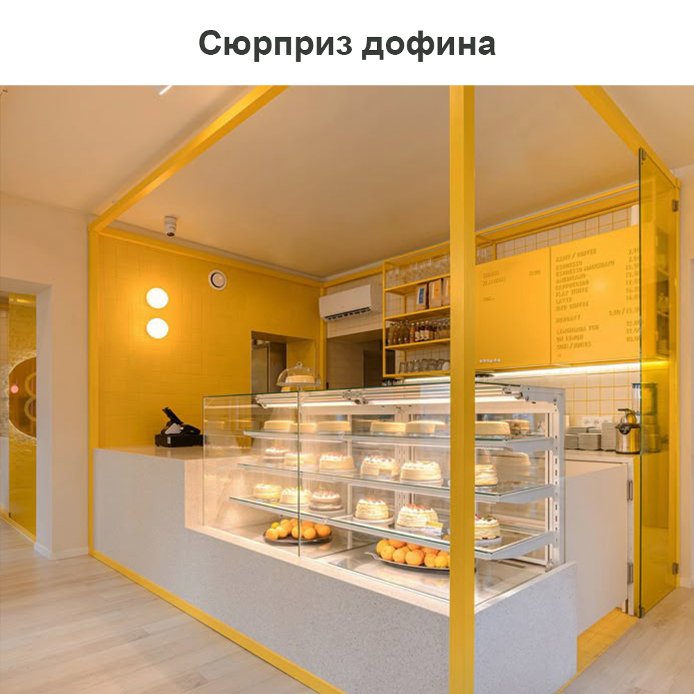 Сюрприз дофина.jpg