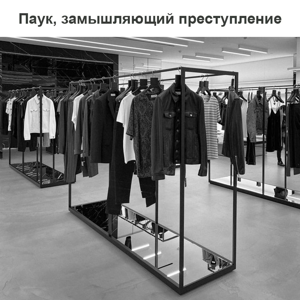 Паук, замышляющий преступление цвет стен.jpg